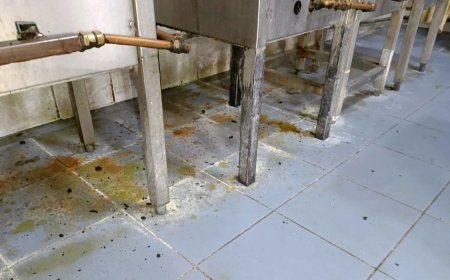 Onderneming in De Nieuwe Grond direct gesloten wegens onhygiënische situatie