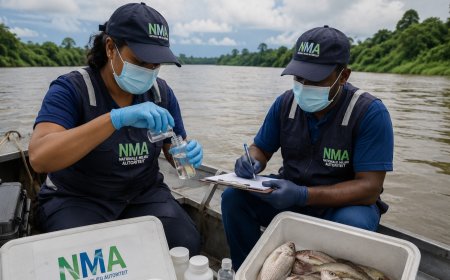 NMA schakelt internationale laboratoriumsteun in bij onderzoek naar vissterfte Boven-Saramacc