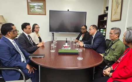 Paspoortaanvraag voor Surinamers in buitenland straks dichter bij huis