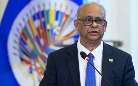 Is Albert Ramdin doelwit geweest van een politieke campagne binnen de OAS?