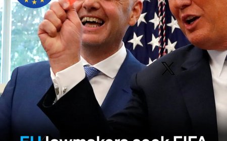 EU-parlementsleden eisen onderzoek naar FIFA-voorzitter