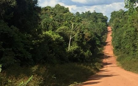 Twee Mennonieten en Surinamer gewond na schietincident op Weg naar West-Suriname