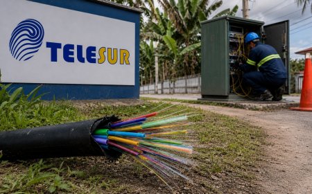 Telesur loopt US$ 120.000 schade op door vernieling glasvezelnetwerk