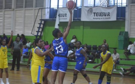 Vrouwen basketbalfinale: De Arend pakt game 2