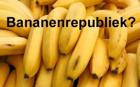 Suriname — kenmerken van een bananenrepubliek