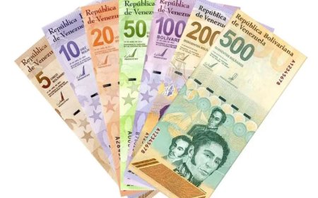 Tientallen nieuwe bankbiljetten toegevoegd aan databank