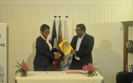 Telesur en Frans-Guyanese Splang sluiten akkoord voor nieuwe glasvezelverbinding