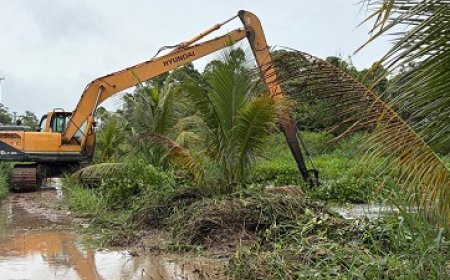 Zeven lozingen opgeschoond om wateroverlast te beperken