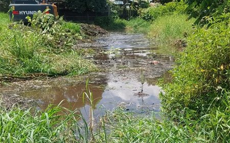 OWRO maakt zeven lozingen schoon om wateroverlast te beperken