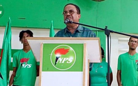 BESCHOUWING — Het wankele pad dat de NPS bewandelt