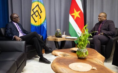Bouva en nieuwe IICA-vertegenwoordiger bespreken versterking landbouwsamenwerking