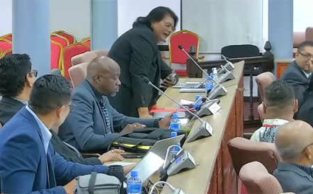 Assemblee dringt aan op hardere aanpak na toename verkeersdoden