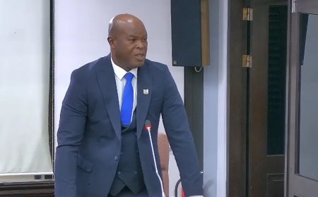 Brunswijk: “Schuld ligt niet alleen bij minister”