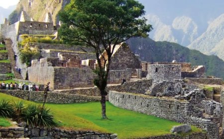 Machu Picchu: de verborgen stad van de Inca’s herontdekt
