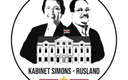 Een jaar regering-Simons: de vraag die wij onszelf niet stellen