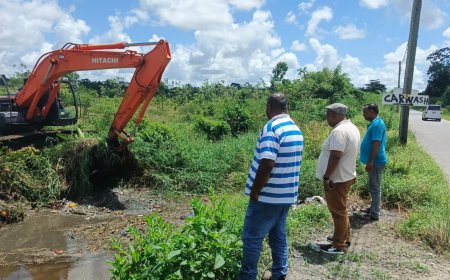 Grofvuil belemmert waterafvoer in Lelydorp