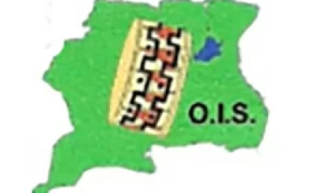 OIS eist actie van president Simons na milieuramp in Saramacca