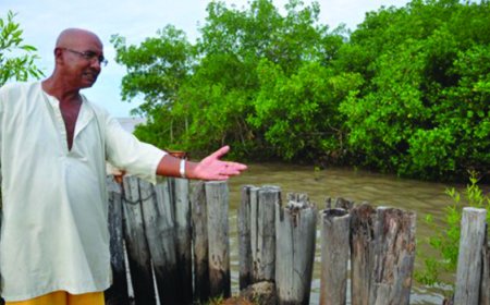 Verklaring ter gelegenheid van Wereld Mangrove Dag 2026 op 26 juli 