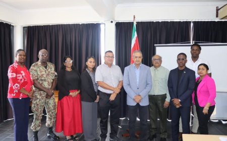 Nieuwe commissie moet uitvoering Caricom-beleid vrij verkeer versterken