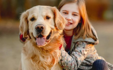 Honden begrijpen mensen beter dan gedacht