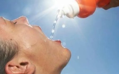 Warm weer en kans op onweersbuien: let op hittestress
