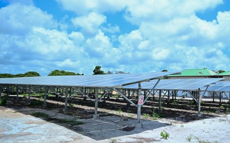 Structureel onderhoud moet zonne-energieprojecten in binnenland draaiende houden