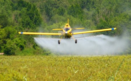 Landbouwsector bezorgd over importverbod bestrijdingsmiddelen
