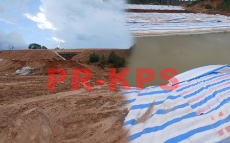 Rond vissterfte Saramaccarivier: plaatselijk onderzoek Enviromental Crime Unit te Gunsi
