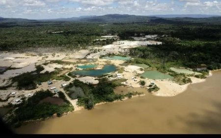 Frankrijk voert druk op Suriname op vanwege illegale goudwinning aan grens