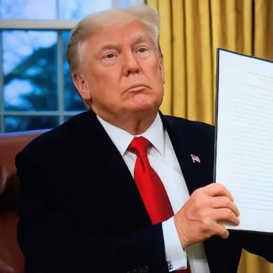 Hof VS houdt geboorterecht in stand – Streep door rekening van Trump
