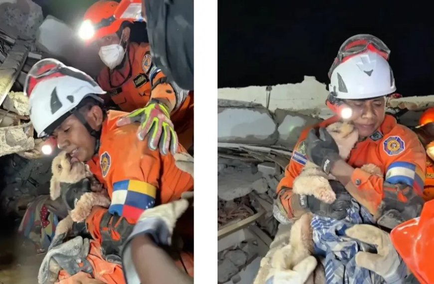 Hondje na 5 dagen onder puin gered in Venezuela
