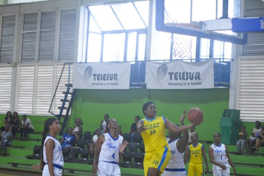Yellow Birds pakt game 1 vrouwen basketbalfinale