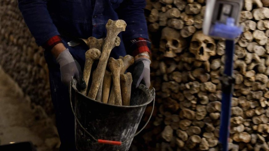 Duitse familie vindt meer dan duizend menselijke botten in macabere tuin