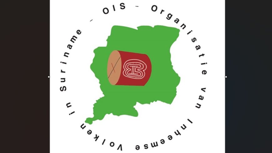 OIS eist onafhankelijk onderzoek naar vissterfte in Saramaccarivier