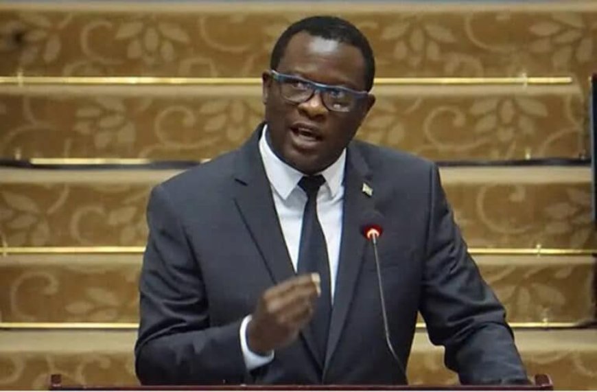 Todd: ‘Guyana niet ingelicht over wens van Suriname brug zelf te financieren’