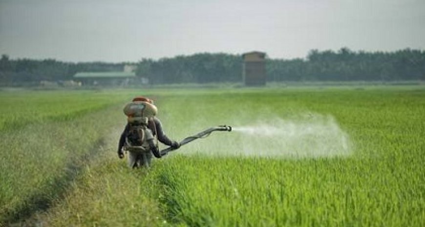 Suriname importeert ruim 1,8 miljoen kg pesticiden in jaar tijd; hoogste van Zuid-Amerika