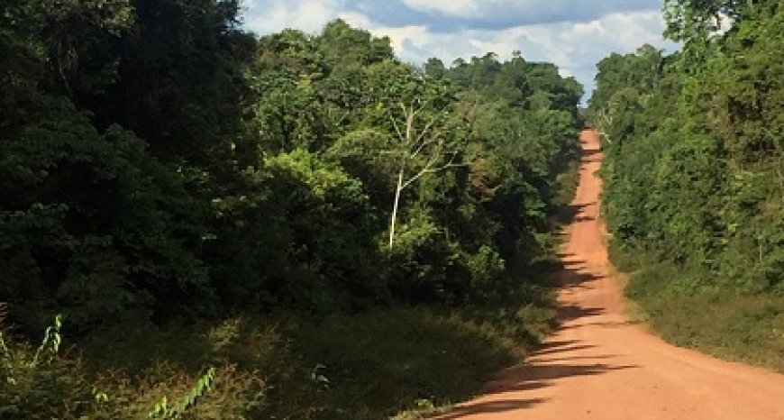 Twee Mennonieten en Surinamer gewond na schietincident op Weg naar West-Suriname