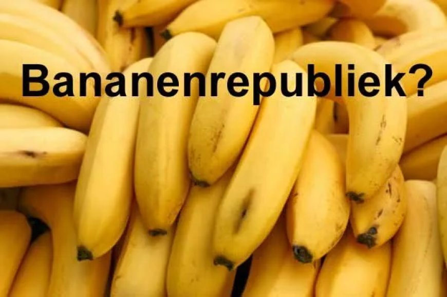 Suriname — kenmerken van een bananenrepubliek