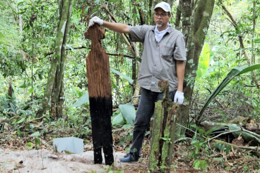 Suriname riskeert plaatsing op lijst Bedreigd Werelderfgoed UNESCO
