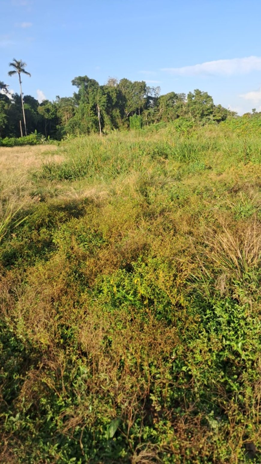 Dreigend isolement delen binnenland door achterstallig onderhoud airstrips