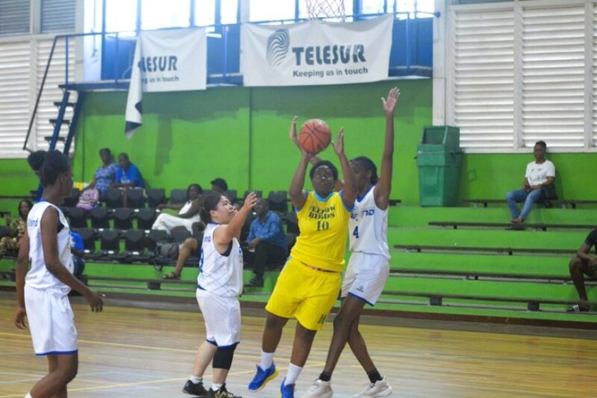 Vrouwen basketbalfinale: Yellow Birds neemt leiding