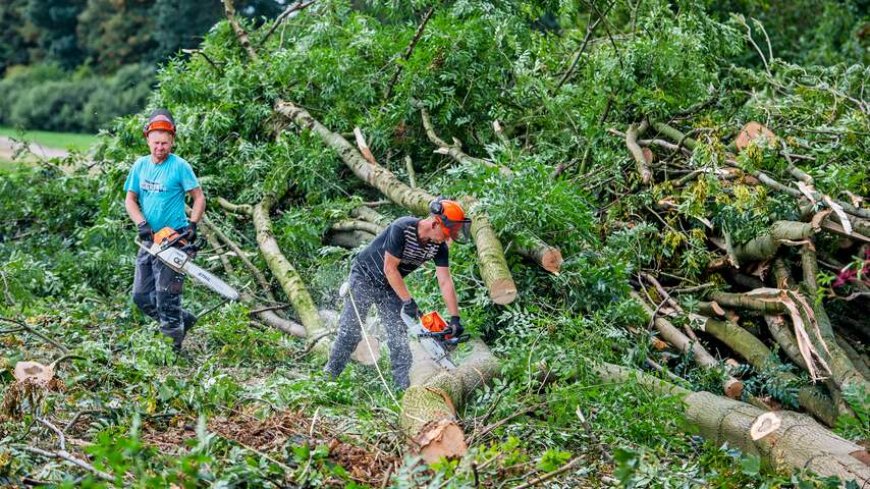 Grondroof begint niet in het bos