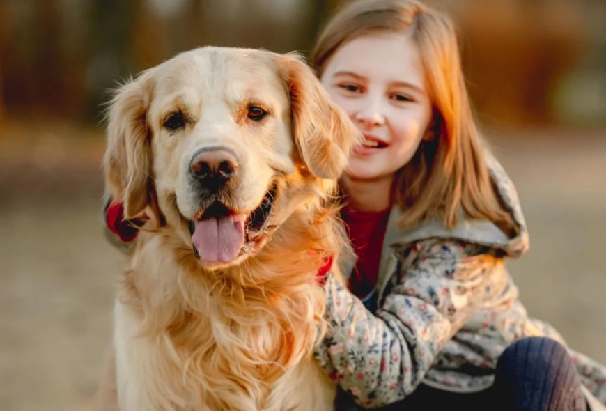 Honden begrijpen mensen beter dan gedacht