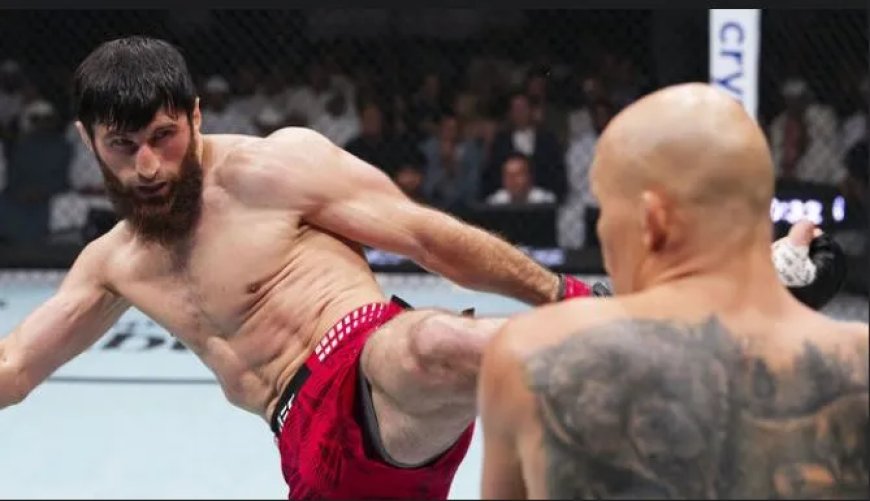 Ankalaev keert sterk terug met TKO zege in Abu Dhabi
