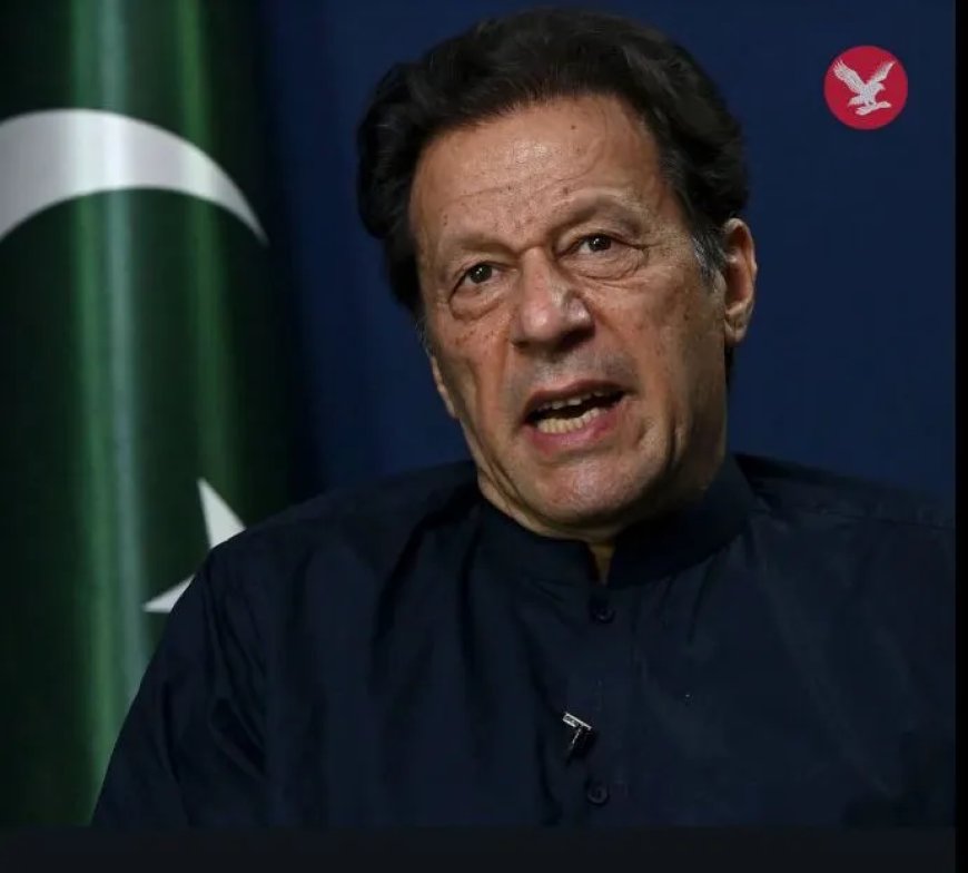VN expert roept Pakistan op tot menswaardige behandeling van Imran Khan