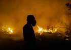 VN: Krachtige El Niño versterkt hitte op een 'planeet die al in brand staat'