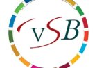 VSB: Logistieke infrastructuur Albina schiet tekort