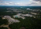 Grote internationale operatie tegen milieumisdrijven in Amazoneregio