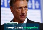 Hervé Renard keert terug als bondscoach van Ivoorkust
