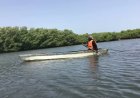 Hoe Gambiaanse vrouwen de mangroves herstellen die Banjul beschermen